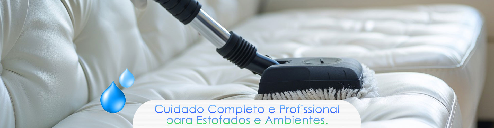 Ecolux Higienização